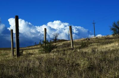 Прикрепленное изображение: DSC_0680__.jpg